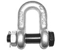 Lifting shackle U-type with nut and splint