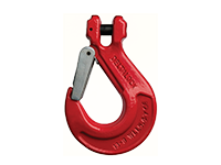 Clevis hook with latch